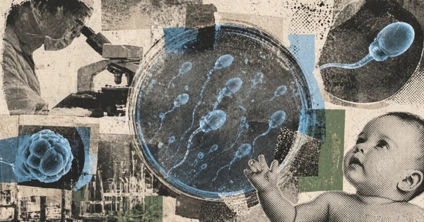 Tinh trùng được tạo ra trong phòng thí nghiệm: Một giải pháp mới giúp nam giới mắc chứng vô tinh có thể thụ thai