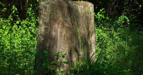 Một sinh viên vô tình tìm thấy hòn đá được giấu kín trong khu rừng ở Anh, dẫn đến một bí mật 3.700 năm