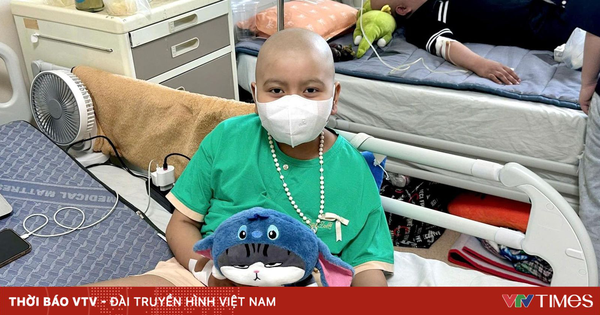 Thực phẩm bẩn: từ bữa ăn đến giường bệnh và nỗi lo hủy hoại giống nòi