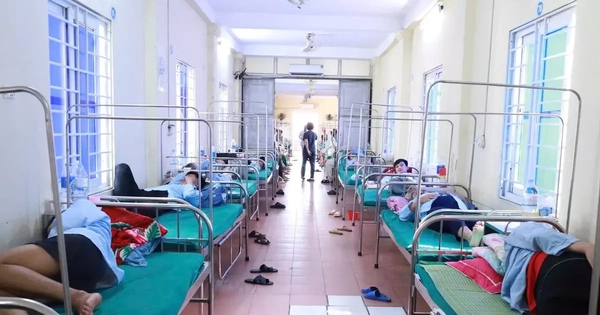 Tìm ra 'thủ phạm' gây ngộ độc khiến hơn 60 người nhập viện ở Nghệ An