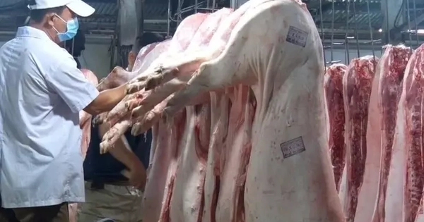 Cựu cán bộ Cục Thú y: 'Kiểm dịch là mảnh đất màu mỡ, béo bở nhất'