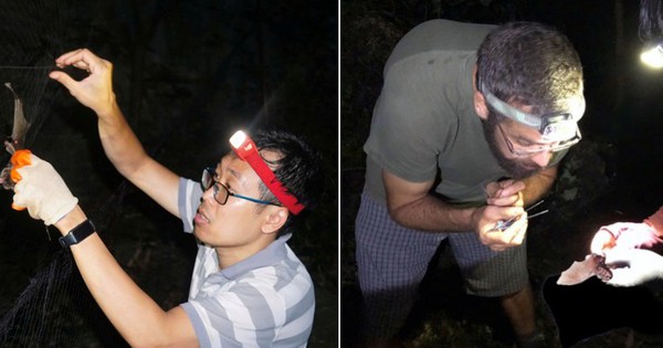 Phát hiện loài thú mới tại Việt Nam: Hé lộ 