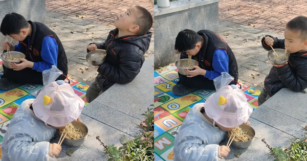 Đưa 3 con đi picnic với bát mì trắng, người mẹ bị chỉ trích 