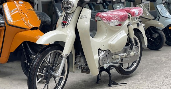 Giá cao gấp đôi Honda SH125i, Super Cub bản 