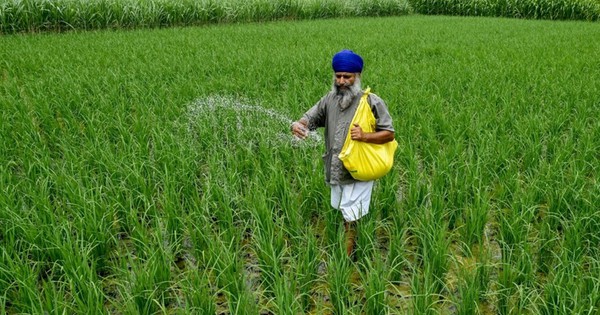 Giá mặt hàng quan trọng tăng sốc tới 83%, một quốc gia BRICS lập tức 'cầu cứu' từ Nga đến Việt Nam để nhập khẩu