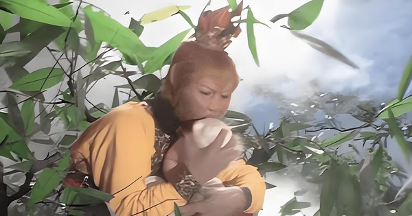 Tôn Ngộ Không thực sự đã 
