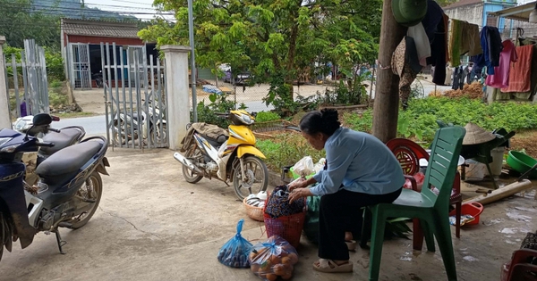 Nhìn mẹ tôi mang đồ quê lên biếu thông gia và phản ứng vô tư của bố mẹ chồng làm tôi trào nước mắt