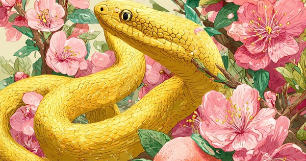 Tử vi ngày mới 5/4: 3 con giáp được Thần tài ưu ái, vận trình suôn sẻ, tài lộc vượng phát