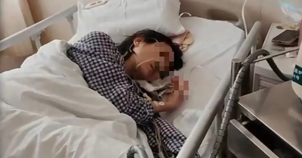 Cả đời chỉ làm 