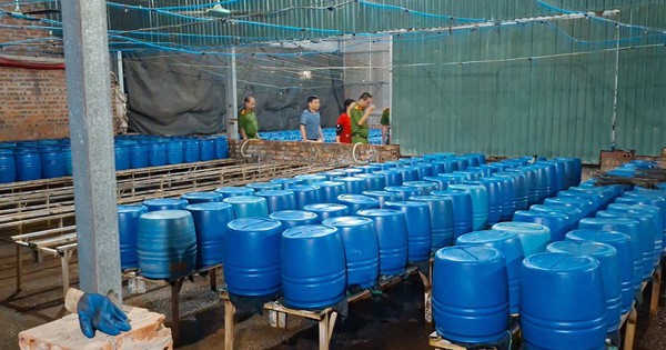 Sản xuất 510 tấn giá đỗ bằng chất độc 6-Benzylaminopurine bán cho người dân