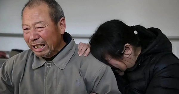 Vì sao 1 mẹ nuôi nổi 10 con mà 10 con không nuôi nổi 1 mẹ: Nguyên nhân thật xót xa!