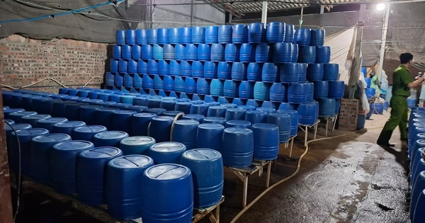 Dùng chất độc có thể gây chết người để sản xuất hơn 500 tấn giá đỗ