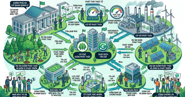 Thị trường carbon: Khoảng cách từ khung pháp lý đến thực thi