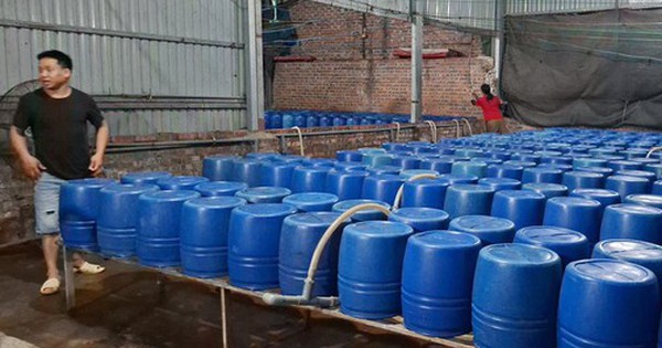 Cận cảnh bên trong cơ sở sản xuất hơn 500 tấn giá đỗ có sử dụng chất độc hại