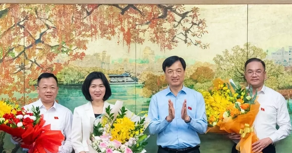 Hà Nội bầu Phó Trưởng đoàn ĐBQH và đại biểu chuyên trách