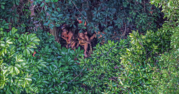 Bộ tộc biệt lập nhất ở Amazon khiến thế giới ngỡ ngàng với hình ảnh người trẻ dùng smartphone nhoay nhoáy