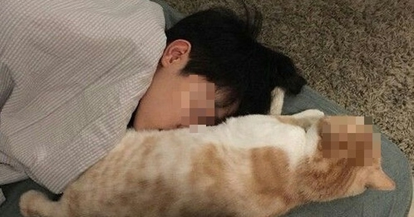 Cậu bé 14 tuổi "gần như mù lòa" sau 1 năm ngủ chung với chó mèo, bác sĩ: "Bệnh này không chữa được"