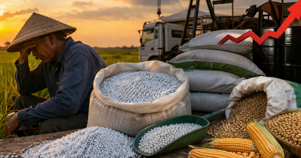 Căng thẳng Trung Đông: Phân bón trong nước tăng, nông sản lại giảm sâu - chuyện gì đang xảy ra?