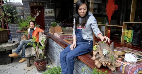 Cô giáo từng “bỏ việc đi khắp thế giới” sau 11 năm nay trở về quê: Cuộc sống giờ khác xa tưởng tượng