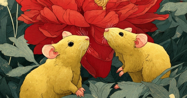 Điểm mặt 3 con giáp trúng đậm ngày 11/4: Sự nghiệp lên hương, tình duyên êm ấm chung đường!