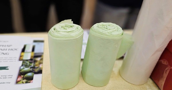 Từ vỏ cam sành bỏ đi, chàng trai làm túi sinh học xuất khẩu