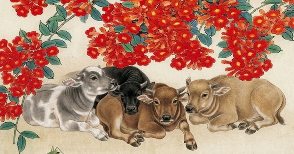 Sau một thời gian im ắng, 3 con giáp bắt đầu có dấu hiệu ‘đổi vận’