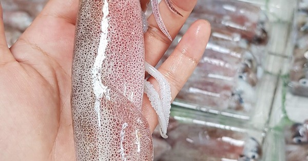 Làm thế nào để phân biệt mực tươi và mực đông lạnh?