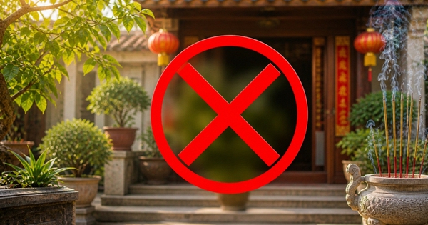 3 cây trước nhà cản bước Thần Tài, tốt nhất đừng trồng