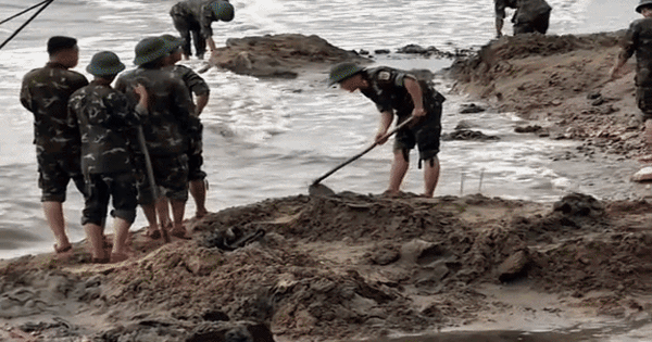 Cảnh tượng trên bờ biển Quy Nhơn khiến nhiều người bất ngờ, nhận xét: Không tin vào mắt mình