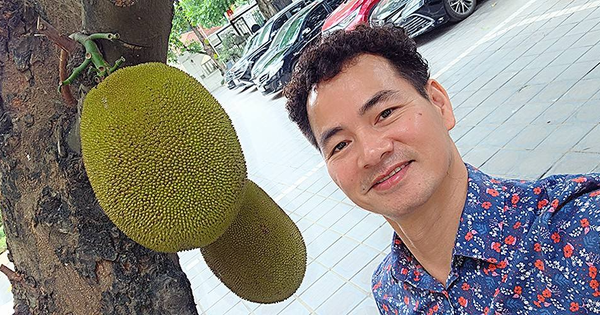 Cây mít nổi tiếng nhất Việt Nam khiến Cục trưởng Xuân Bắc phải đi làm cả cuối tuần để... canh chừng!