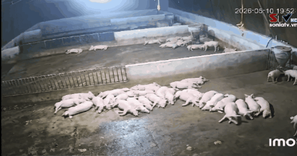 Động đất mạnh 4 độ ở Sơn La khiến nhà cửa rung lắc, người dân chạy ra khỏi nhà sau tiếng động lớn