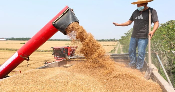 Không phải sầu riêng, Campuchia vừa đón tin cực vui ở mặt hàng đang cạnh tranh với Việt Nam - Trung Quốc góp công lớn
