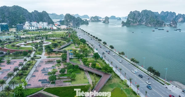 Ngắm lá phổi xanh mướt bên bờ di sản vịnh Hạ Long