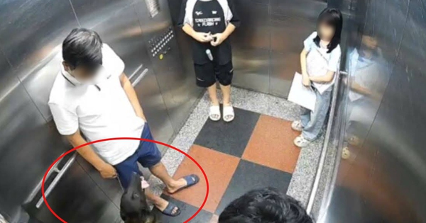 Hà Nội: Bị nhắc đeo rọ mõm cho chó, cư dân đấm gục thành viên ban quản trị chung cư, công an vào cuộc