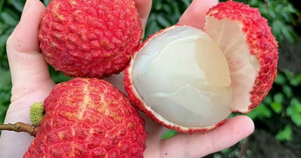 5 điều cấm kỵ khi ăn quả vải nhiều người Việt đang vô tình mắc phải: 