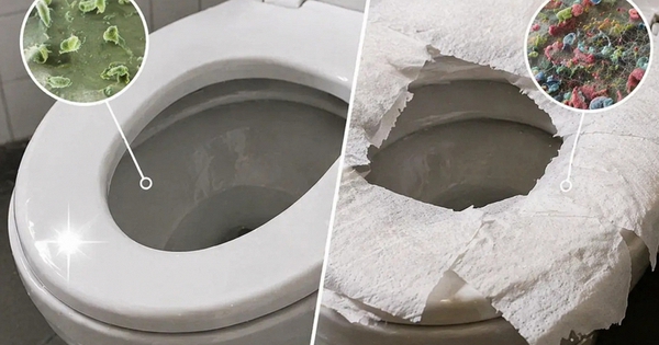 Có nên lót giấy vệ sinh lên bệ bồn cầu ở nhà vệ sinh công cộng? Đến giờ tôi mới hiểu mình toàn 