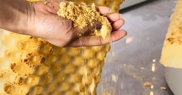 Tôi từng mua 6 món đồ “siêu rẻ” để tiết kiệm tiền - nhưng càng dùng càng thấy tốn kém và phiền phức hơn cả