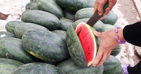 Lời khuyên khi mua dưa hấu