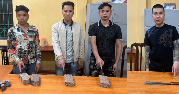 Bắt tạm giam Đoàn Đình Khánh SN 1993