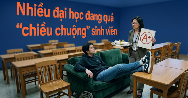 Tiến sỹ Mỹ nói thẳng: Nhiều đại học đang quá “chiều chuộng” sinh viên