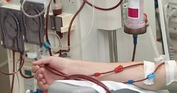 Bé gái bị cô đặc máu vì bệnh truyền nhiễm, cảnh báo biến chứng chết người