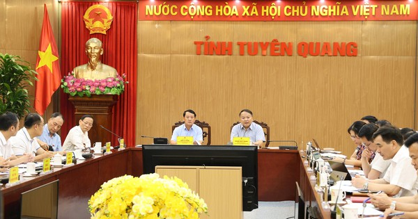 Đại gia Vũ Văn Tiền muốn chi 7.800 tỷ đồng để chăn nuôi lợn, trồng chè