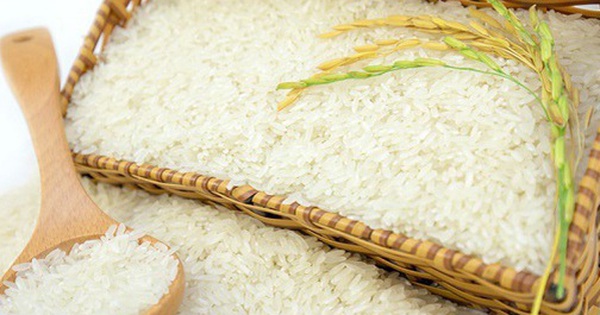 Nước mua gạo lớn nhất thế giới ra cảnh báo mới, tàu Việt vẫn dồn dập cập cảng
