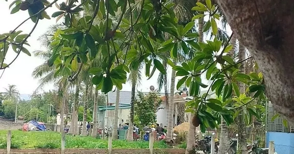 Con trai tử vong sau xô xát với bố đẻ