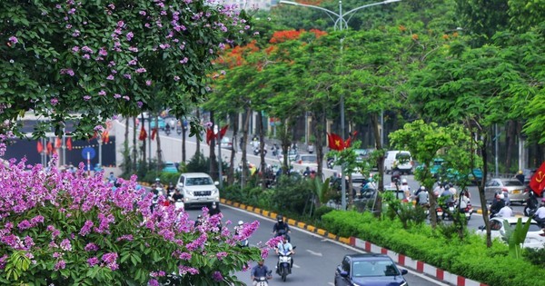 Từ bỏ ‘đua tranh khốc liệt’ ở quê nhà, nhiều người Mỹ chọn Việt Nam: ‘Chất lượng cuộc sống rất cao’