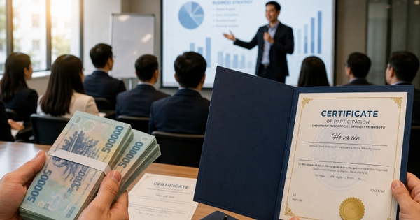 Học làm CEO, nhận hỗ trợ 28 triệu đồng/ ứng viên: Những ai sẽ được tham gia?