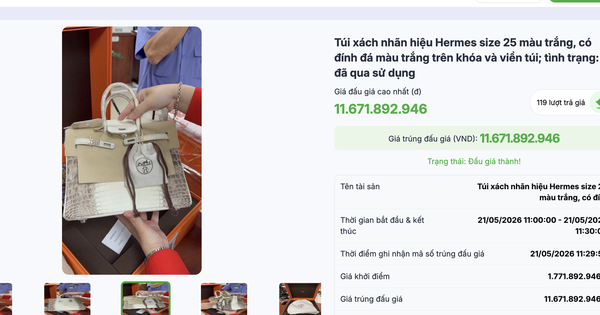 Túi Hermes bà Trương Mỹ Lan từng nói 