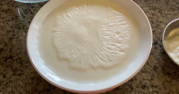 Nữ bác sĩ Nhật giảm 15kg nhờ kiểu ăn sữa chua 