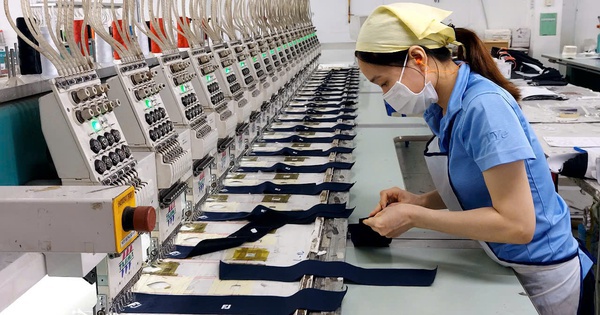 Từ ngày 1-7, mức lương đóng BHXH cao nhất của người lao động là 50,6 triệu đồng/tháng