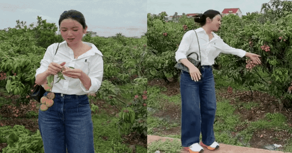 Chu Thanh Huyền gặp sự cố giữa vườn vải